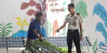 Lapas Bengkulu, Lembaga Pemasyarakatan Kelas IIA Bengkulu, Hidroponik, Sawi Manis,