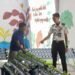 Hidroponik Lapas Bengkulu Berkembang, Bibit Sawi Manis Mulai Tumbuh Optimal 14 Lapas Bengkulu, Lembaga Pemasyarakatan Kelas IIA Bengkulu, Hidroponik, Sawi Manis,