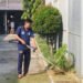 Lapas Bengkulu, Lapas Kelas IIA Bengkulu, Pemasyarakatan, Warga Binaan, Kebersihan Lapas, Taman Lapas, Pembinaan Narapidana, Andri Trisno, Lingkungan Bersih, Kementerian Imigrasi dan Pemasyarakatan, Ditjen Pemasyarakatan, Pembinaan Kepribadian, Green Prison, Berita Lapas Bengkulu, Humas Lapas Bengkulu