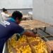 Lapas Mojokerto Kembali Tambah 200 Bibit Itik, Dukung Ketahanan Pangan dan 15 Program Aksi Kemenimipas 17 WhatsApp Image 2026 08 10 at 21.20.52