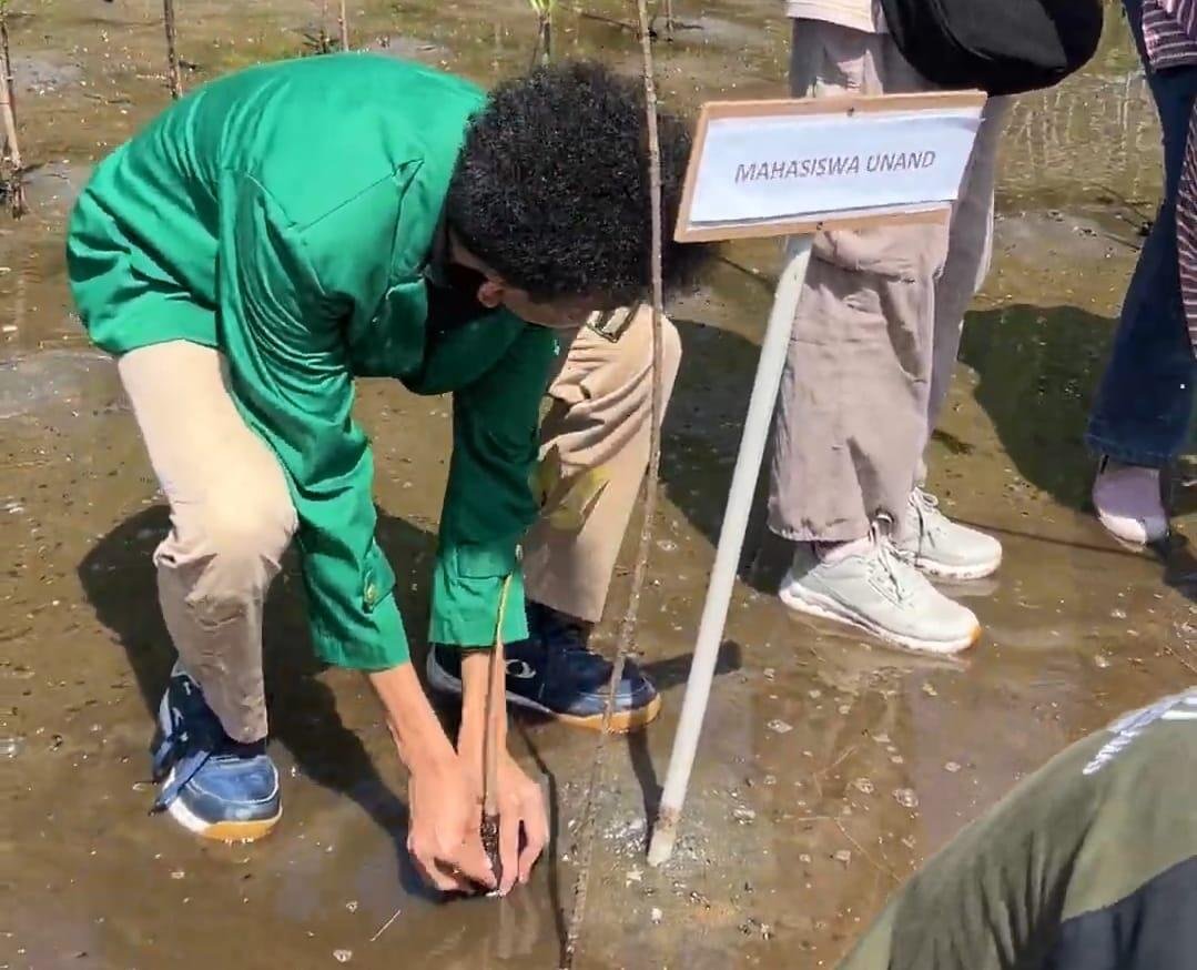 Perkuat Ekowisata Amping Parak, Mahasiswa KKN Reguler II Universitas Andalas Bersama Masyarakat Tanam Mangrove dan Lepas Penyu di Nagari Amping Parak Pesisir Selatan 8 width=1079