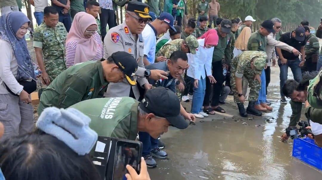 Perkuat Ekowisata Amping Parak, Mahasiswa KKN Reguler II Universitas Andalas Bersama Masyarakat Tanam Mangrove dan Lepas Penyu di Nagari Amping Parak Pesisir Selatan 9 width=1079