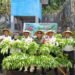 Optimalkan Lahan Terbatas, Lapas Bandanaira Panen Kangkung 16 WhatsApp Image 2026 08 19 at 08.37.29