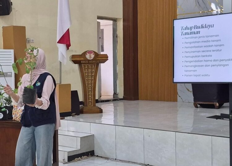 Rumah Tumbuh Pangan, Upaya Mahasiswa MMD UB Tingkatkan Ketahanan Pangan Melalui Pekarangan Rumah 5 download 1