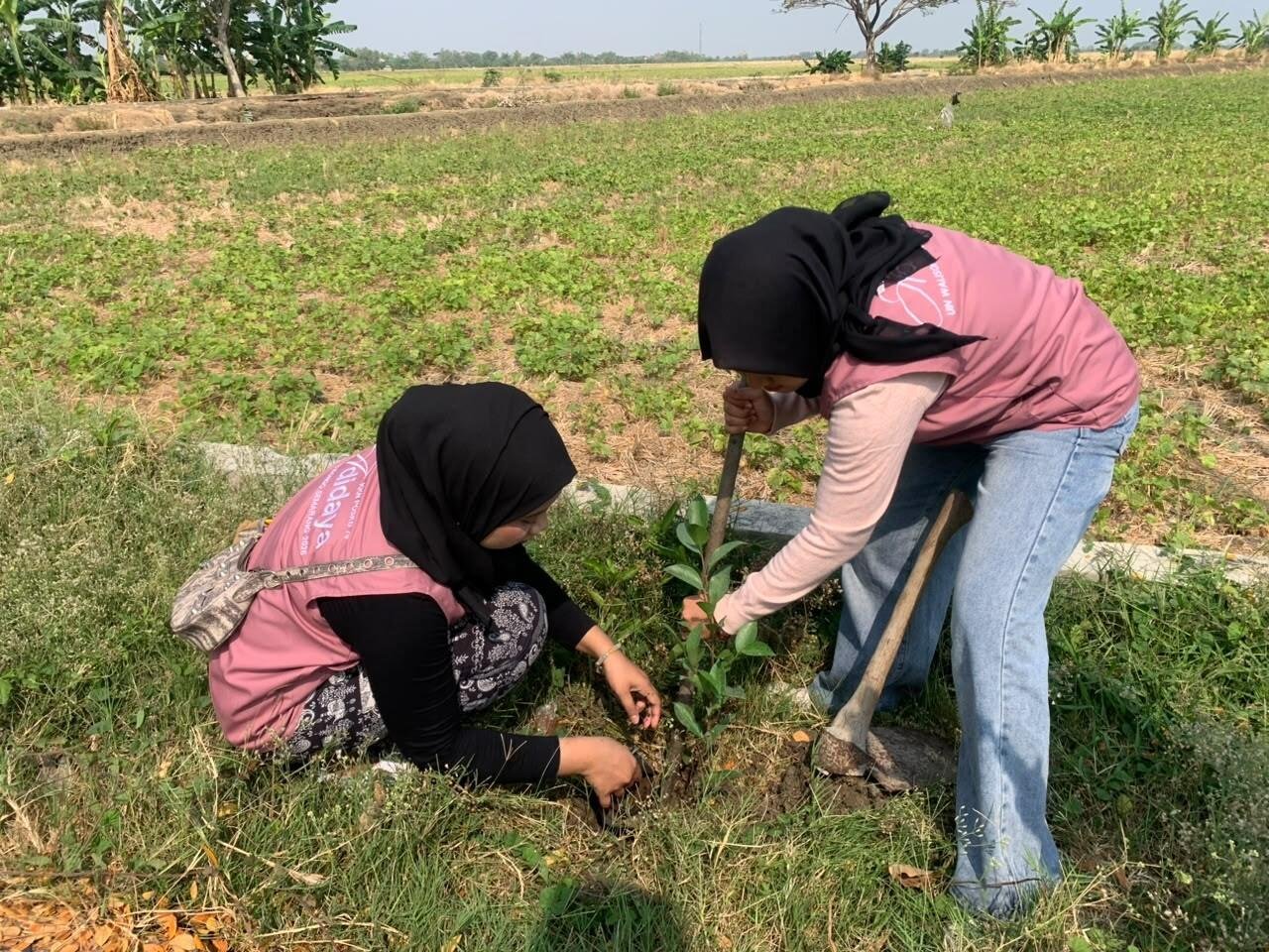 Menanam Harapan, Menjaga Kehidupan: KKN MIT UIN Walisongo Posko 79 Bawa Semangat Penghijauan melalui Penanaman 100 Bibit Pohon di Desa Pidodo 7 foto penanaman 400kb