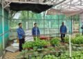 Perkuat Ketahanan Pangan, Lapas Arga Makmur Kembangkan Budidaya Cabe dan Terong 9 1