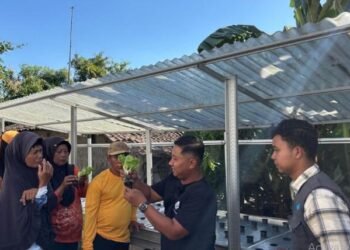 KWT Sumber Makmur Ikuti Pelatihan Praktik Hidroponik untuk Dukung Keberlanjutan Bank Sayur Desa Kersikan 1 2026 09 26 4