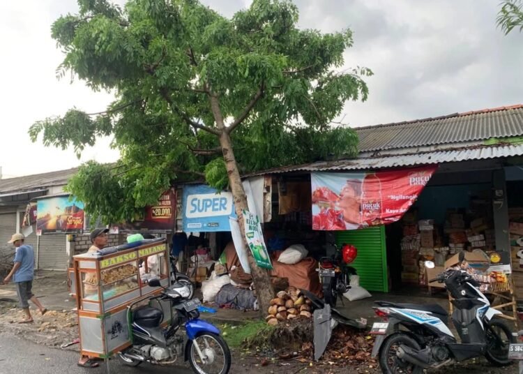 BPBD Lamongan Keluarkan Peringatan Dini Angin Kencang, Warga Diminta Amankan Atap dan Hindari Berteduh di Bawah Pohon 5 FB IMG 1790234876317