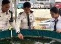 Belajar Sambil Merawat, Peserta Magang Bapas Batam Kenali Budidaya Hidroponik dan Bioflok 7 IMG 2079