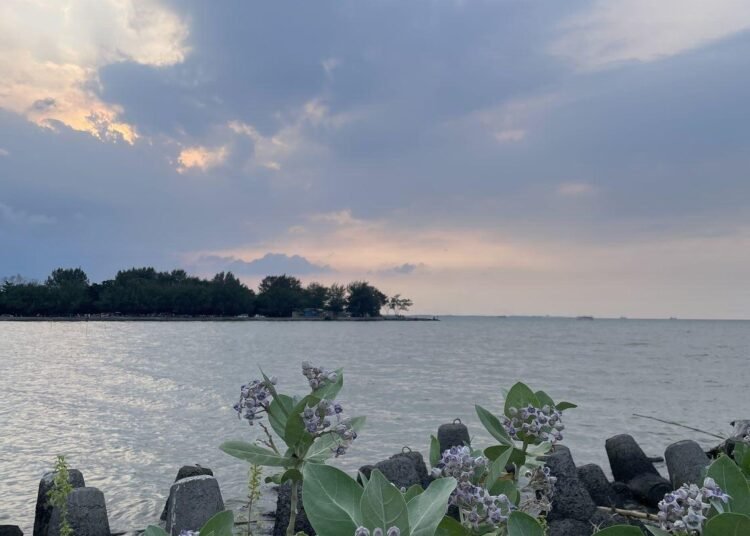 Pantai Baruna: Hidden Gem Semarang yang Menawarkan Keindahan Senja dan Ruang Jeda dari Penatnya Kota 5 Suasana sore hari di Pantai Baruna. (Foto: Dokumentasi Pribadi)