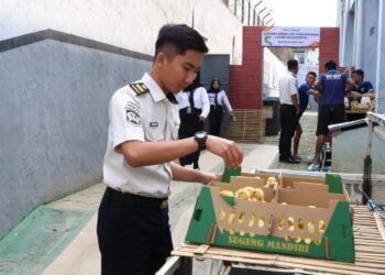 Tambah 400 Bibit Itik, Lapas Mojokerto Dorong Keterampilan dan Kemandirian Warga Binaan 10 WhatsApp Image 2026 09 01 at 14.34.29 300kb