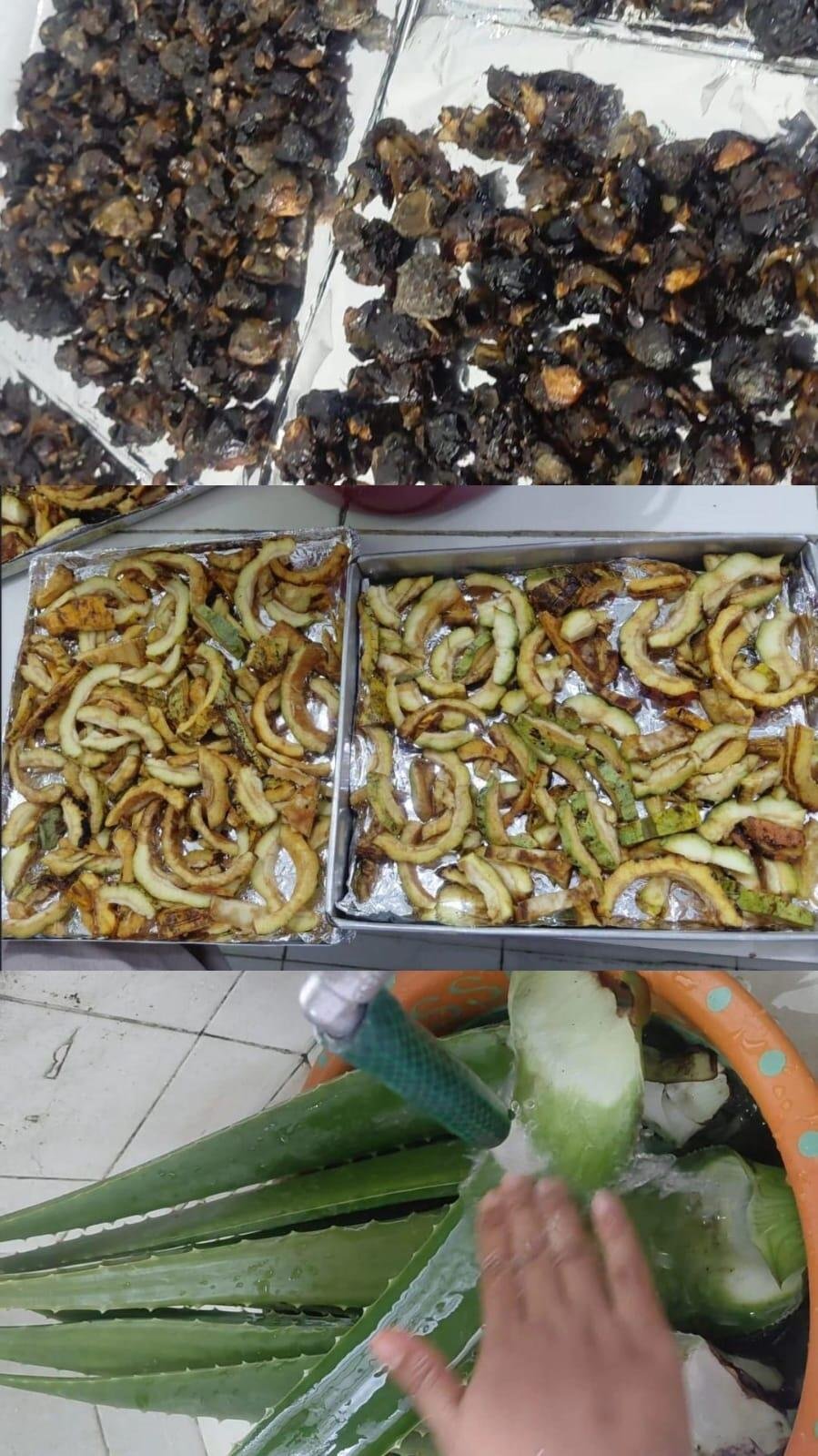 Inovasi Covalera, Tim PKM-K Unila Kembangkan Sabun Foam Ramah Lingkungan untuk Kulit Sensitif 7 WhatsApp Image 2026 09 07 at 1.29.11 PM