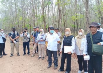 Kantor Pertanahan Lampung Selatan Laksanakan Inventarisasi dan Identifikasi Objek Pengadaan Tanah Pembangunan Pusat Kegiatan Olahraga 1 WhatsApp Image 2026 09 09 at 21.49.49 5
