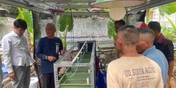 Melihat secara langsung apartemen cacing sutra