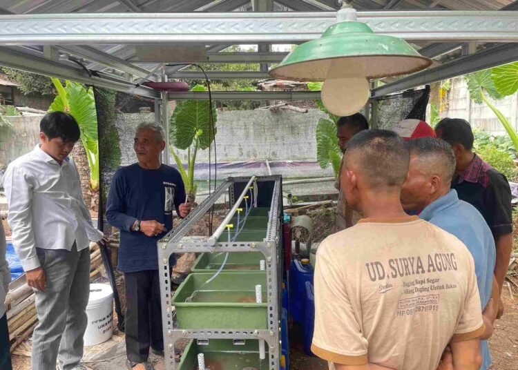 Melihat secara langsung apartemen cacing sutra