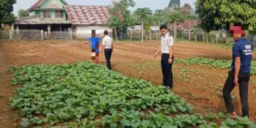WhatsApp Image 2026 09 14 at 18.49.04
