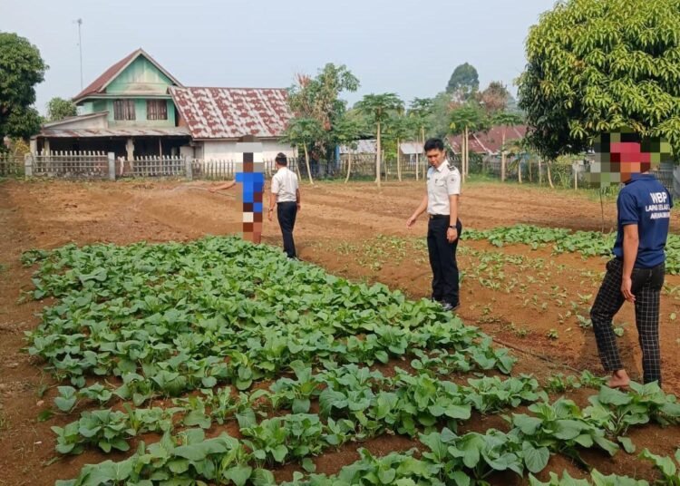 Lapas Arga Makmur Olah Lahan Pasca Panen, Jaga Keberlanjutan Ketahanan Pangan dan Pembinaan Kemandirian WBP 5 WhatsApp Image 2026 09 14 at 18.49.04