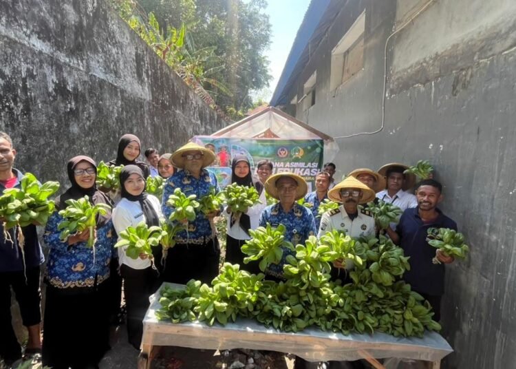 Produktif dan Berkelanjutan, Lapas Bandanaira Kembali Panen Sayuran Hidroponik 5 WhatsApp Image 2026 09 17 at 09.05.22r