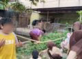 Kokurikuler Jumat Peduli Lingkungan: Aksi Tanam Sayur Siswa di Bantaran Saluran Air Sekolah 25 WhatsApp Image 2026 09 24 at 20.18.25