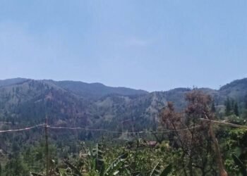 Suhu Tembus 36°C, Warga Babatan dan Sugio Lamongan Diminta Kurangi Aktivitas di Luar Rumah 1 FB IMG 1791299195491