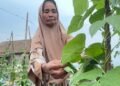 Dari Ladang hingga Kandang, Kisah Kerja Ibu Seni Menjaga Penghidupan Keluarga 9 IMG 20261022 WA0022
