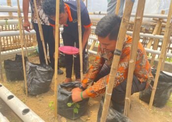 Kembali Tanam Melon Golden di Green House, Wujud Nyata Program Pembinaan Kemandirian Lapas Arjasa 1 IMG 20261023 WA0042