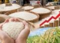Harga Beras di Jakarta Mengalami Perubahan Sepanjang 2025–2026 27 IMG 20261008 221101