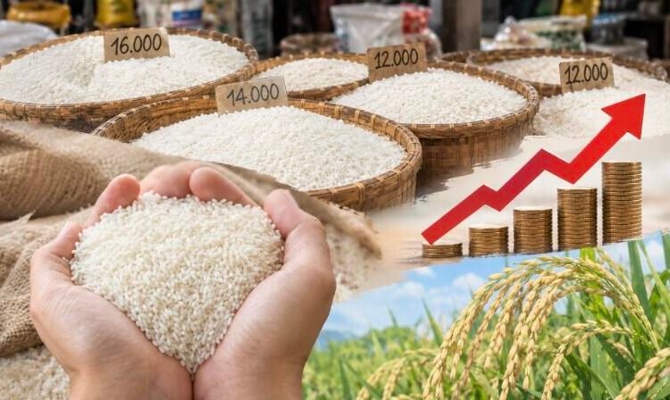 Harga Beras di Jakarta Mengalami Perubahan Sepanjang 2025–2026 5 IMG 20261008 221101