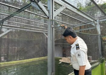 Dukung Ketahanan Pangan, Rutan Bengkulu Kembangkan Budidaya Ikan Nila sebagai Program Produktif WBP 1 WhatsApp Image 2026 10 13 at 10.13.15