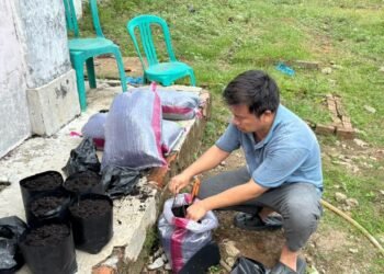 Rutan Bengkulu Mulai Penyemaian Benih Semangka, Perkuat Pembinaan Kemandirian WBP 1 WhatsApp Image 2026 10 13 at 10.18.41