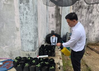 Peserta Magang Kemnaker Bersama Warga Binaan Rutan Bengkulu Persiapkan Penanaman Bibit Semangka Baru 1 WhatsApp Image 2026 10 19 at 09.57.13