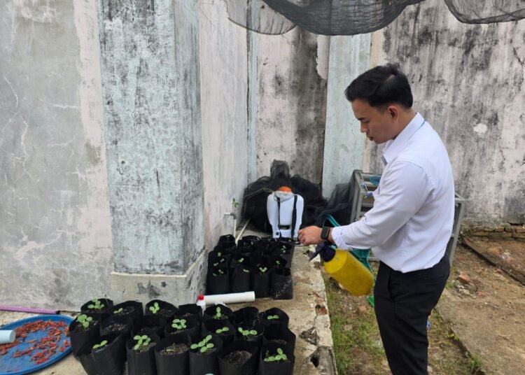 Peserta Magang Kemnaker Bersama Warga Binaan Rutan Bengkulu Persiapkan Penanaman Bibit Semangka Baru 5 WhatsApp Image 2026 10 19 at 09.57.13