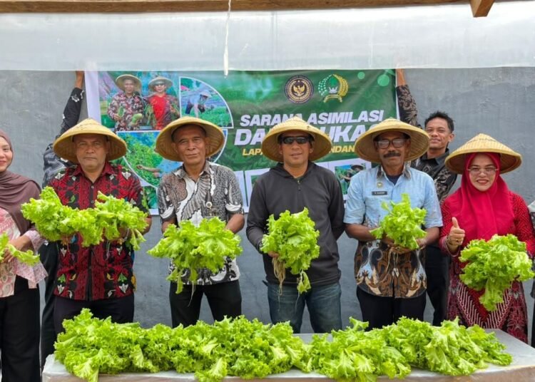 Panen Sawi dan Selada Hidroponik, Lapas Bandanaira Perkuat Ketahanan Pangan 6 WhatsApp Image 2026 10 24 at 07.32.03