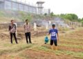 Perluas Lahan Produktif, Lapas Bengkulu Maksimalkan SAE sebagai Sarana Pembinaan 27 Lapas Bengkulu, warga binaan, pembinaan kemandirian, pertanian Lapas, lahan SAE, Sarana Asimilasi dan Edukasi,
