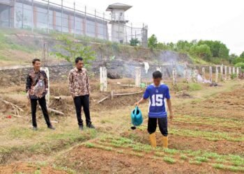 Lapas Bengkulu, warga binaan, pembinaan kemandirian, pertanian Lapas, lahan SAE, Sarana Asimilasi dan Edukasi,