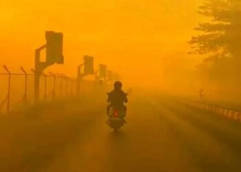 Karhutla Kalimantan: Ketika Hutan Terbakar, Siapa yang Harus Bertanggung Jawab? 2 image 1
